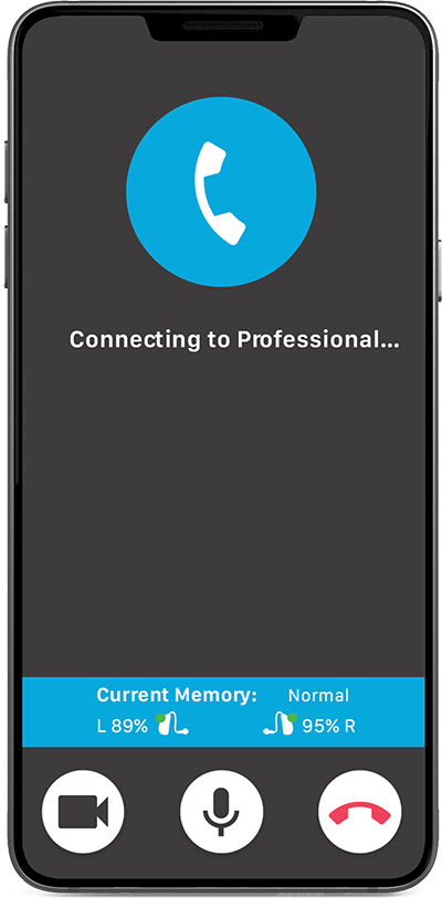 Image of Connecting to Professional screen